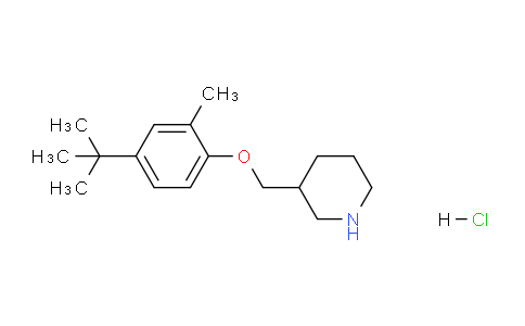 CAS No. 1220019-55-5, 3-((4-(tert-Butyl)-2-methylphenoxy)methyl)piperidine hydrochloride