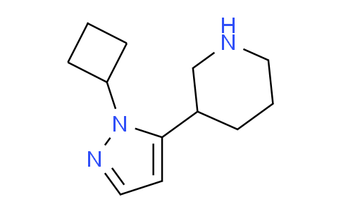 CAS No. 1774892-96-4, 3-(1-Cyclobutyl-1H-pyrazol-5-yl)piperidine