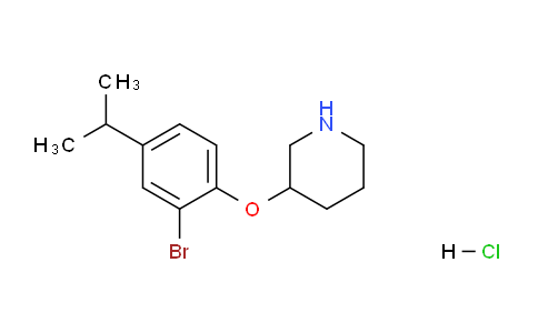 CAS No. 1220019-15-7, 3-(2-Bromo-4-isopropylphenoxy)piperidine hydrochloride