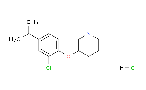 CAS No. 1220035-64-2, 3-(2-Chloro-4-isopropylphenoxy)piperidine hydrochloride