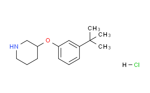 CAS No. 1220027-98-4, 3-(3-(tert-Butyl)phenoxy)piperidine hydrochloride