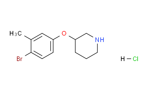 CAS No. 1219967-99-3, 3-(4-Bromo-3-methylphenoxy)piperidine hydrochloride