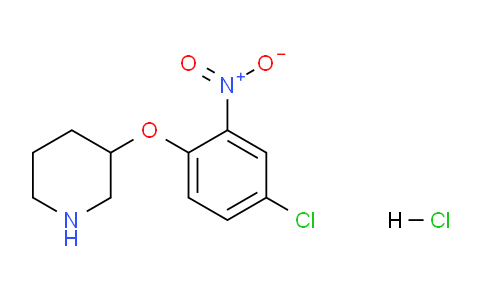 CAS No. 1219976-27-8, 3-(4-Chloro-2-nitrophenoxy)piperidine hydrochloride