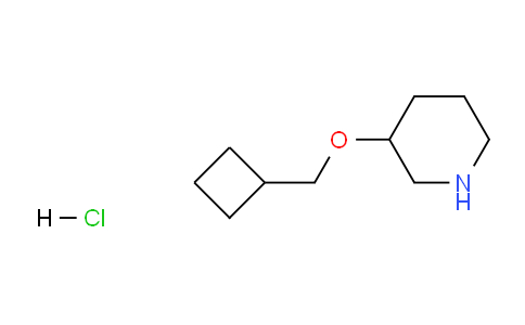 CAS No. 1220020-94-9, 3-(Cyclobutylmethoxy)piperidine hydrochloride