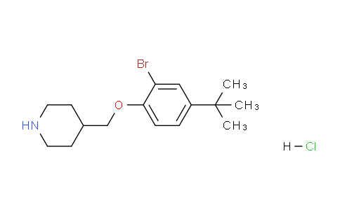 CAS No. 1219967-81-3, 4-((2-Bromo-4-(tert-butyl)phenoxy)methyl)piperidine hydrochloride