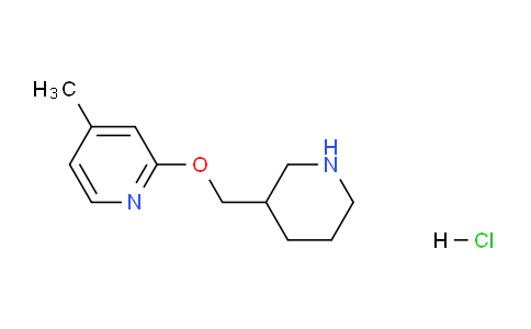 CAS No. 1185310-76-2, 4-Methyl-2-(piperidin-3-ylmethoxy)pyridine hydrochloride