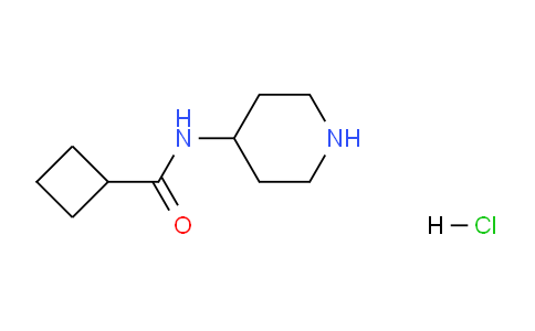 CAS No. 1219948-63-6, N-(Piperidin-4-yl)cyclobutanecarboxamide hydrochloride