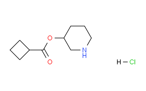 CAS No. 1219971-82-0, Piperidin-3-yl cyclobutanecarboxylate hydrochloride