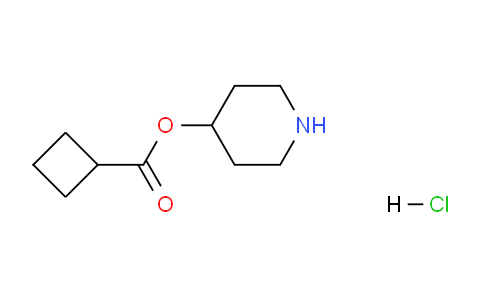CAS No. 1219948-61-4, Piperidin-4-yl cyclobutanecarboxylate hydrochloride