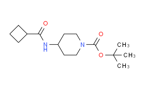 CAS No. 1197980-74-7, tert-Butyl 4-(cyclobutanecarbonylamino)piperidine-1-carboxylate