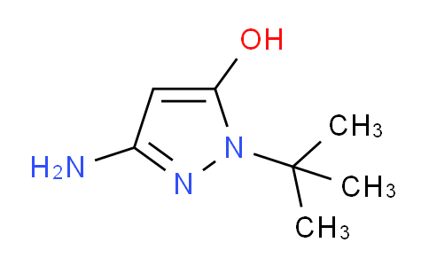 CAS No. 1269292-58-1, 3-Amino-1-(tert-butyl)-1H-pyrazol-5-ol