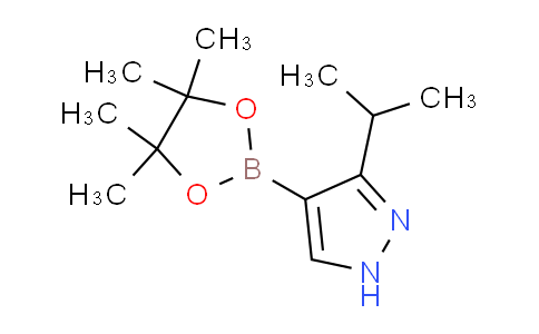 CAS No. 1983152-92-6, 3-Isopropyl-4-(4,4,5,5-tetramethyl-1,3,2-dioxaborolan-2-yl)-1H-pyrazole