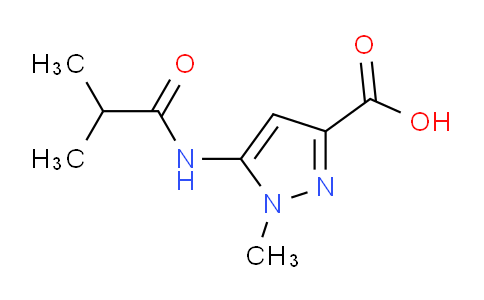 CAS No. 1239753-88-8, 5-Isobutyramido-1-methyl-1H-pyrazole-3-carboxylic acid