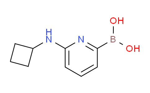 CAS No. 1309981-35-8, (6-(Cyclobutylamino)pyridin-2-yl)boronic acid
