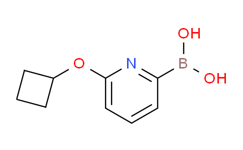 CAS No. 1310404-90-0, (6-Cyclobutoxypyridin-2-yl)boronic acid