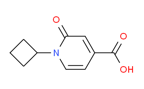 CAS No. 1439900-10-3, 1-Cyclobutyl-2-oxo-1,2-dihydropyridine-4-carboxylic acid