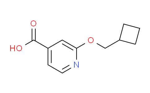 CAS No. 1235440-03-5, 2-(Cyclobutylmethoxy)isonicotinic acid