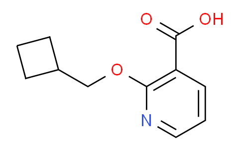 CAS No. 1235439-37-8, 2-(Cyclobutylmethoxy)nicotinic acid