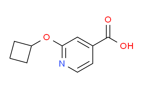 CAS No. 1247662-13-0, 2-Cyclobutoxyisonicotinic acid