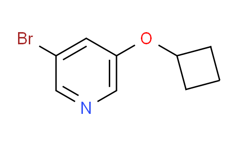 CAS No. 1289122-57-1, 3-Bromo-5-cyclobutoxypyridine