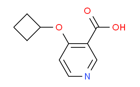 CAS No. 1439900-36-3, 4-Cyclobutoxynicotinic acid