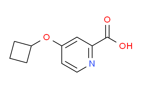 CAS No. 1247196-30-0, 4-Cyclobutoxypicolinic acid