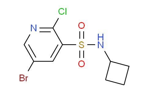 CAS No. 1249439-24-4, 5-Bromo-2-chloro-N-cyclobutylpyridine-3-sulfonamide