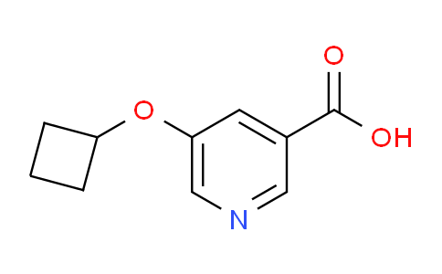 CAS No. 1385696-32-1, 5-Cyclobutoxynicotinic acid
