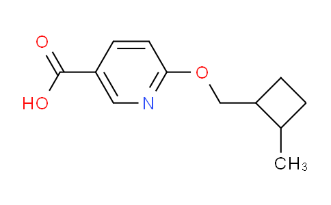 CAS No. 1710853-55-6, 6-((2-Methylcyclobutyl)methoxy)nicotinic acid