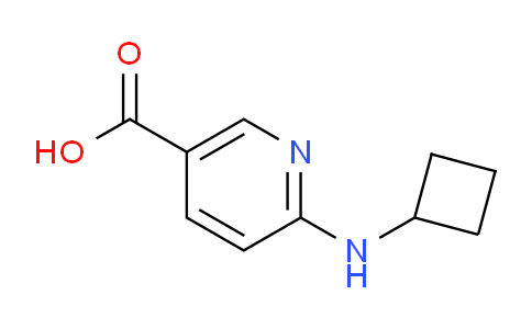 CAS No. 960060-89-3, 6-(Cyclobutylamino)nicotinic acid