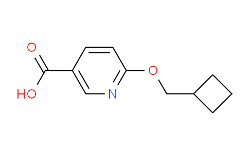 CAS No. 1235440-26-2, 6-(Cyclobutylmethoxy)nicotinic acid