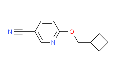 CAS No. 1235441-52-7, 6-(Cyclobutylmethoxy)nicotinonitrile