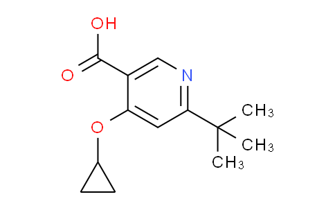 CAS No. 1243286-37-4, 6-(tert-Butyl)-4-cyclopropoxynicotinic acid