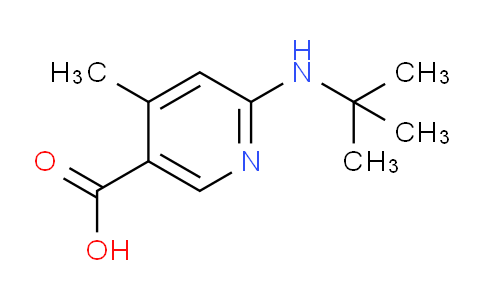 CAS No. 1355216-28-2, 6-(tert-Butylamino)-4-methylnicotinic acid