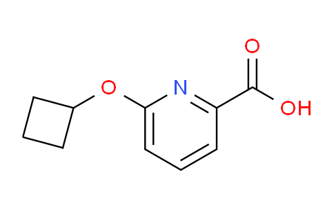 CAS No. 1250298-25-9, 6-Cyclobutoxypicolinic acid