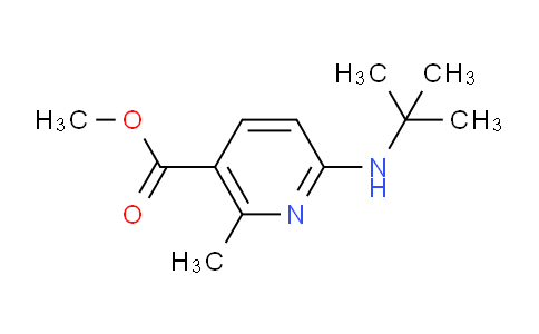 CAS No. 1355200-68-8, Methyl 6-(tert-butylamino)-2-methylnicotinate