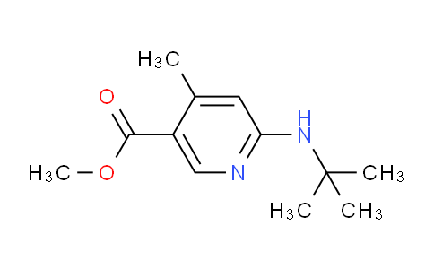 CAS No. 1355200-37-1, Methyl 6-(tert-butylamino)-4-methylnicotinate