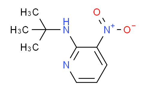 CAS No. 79371-45-2, N-(tert-Butyl)-3-nitropyridin-2-amine