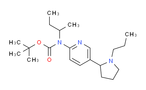 CAS No. 1352536-28-7, tert-Butyl sec-butyl(5-(1-propylpyrrolidin-2-yl)pyridin-2-yl)carbamate