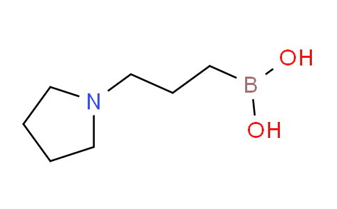 CAS No. 732942-28-8, (3-(Pyrrolidin-1-yl)propyl)boronic acid