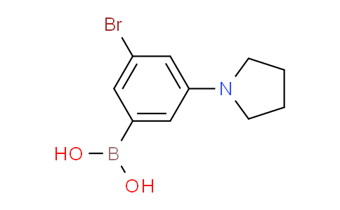 CAS No. 1256355-16-4, (3-Bromo-5-(pyrrolidin-1-yl)phenyl)boronic acid