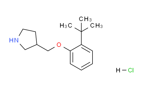 CAS No. 1146960-38-4, 3-((2-(tert-Butyl)phenoxy)methyl)pyrrolidine hydrochloride