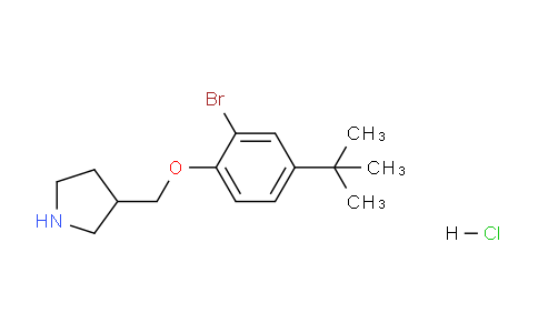 CAS No. 1219948-97-6, 3-((2-Bromo-4-(tert-butyl)phenoxy)methyl)pyrrolidine hydrochloride