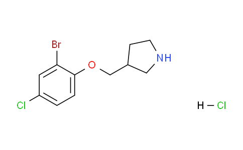 CAS No. 1219971-77-3, 3-((2-Bromo-4-chlorophenoxy)methyl)pyrrolidine hydrochloride