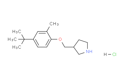 CAS No. 1220039-10-0, 3-((4-(tert-Butyl)-2-methylphenoxy)methyl)pyrrolidine hydrochloride