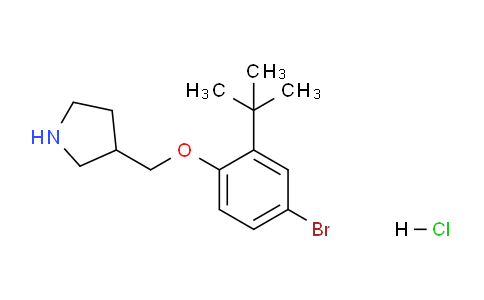 CAS No. 1219948-96-5, 3-((4-Bromo-2-(tert-butyl)phenoxy)methyl)pyrrolidine hydrochloride