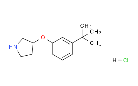 CAS No. 1220037-34-2, 3-(3-(tert-Butyl)phenoxy)pyrrolidine hydrochloride