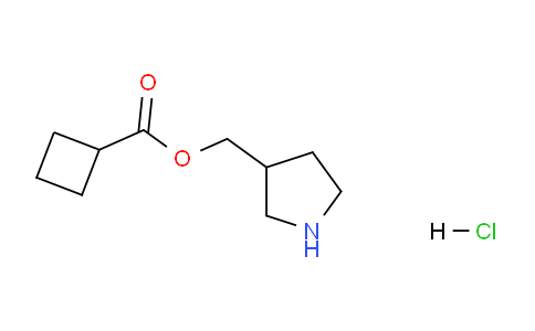 CAS No. 1220021-53-3, Pyrrolidin-3-ylmethyl cyclobutanecarboxylate hydrochloride