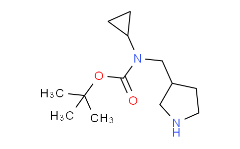CAS No. 1353957-16-0, tert-Butyl cyclopropyl(pyrrolidin-3-ylmethyl)carbamate