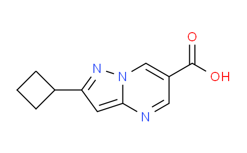 CAS No. 1517974-95-6, 2-Cyclobutylpyrazolo[1,5-a]pyrimidine-6-carboxylic acid